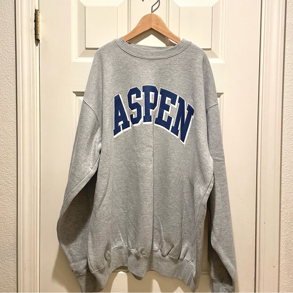 Brandy Melville Oversized Grey Crewneck